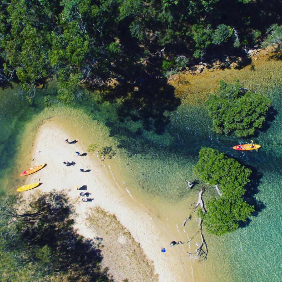 הוסטל Church Point Yha Pittwater Eco, Sydney מראה חיצוני תמונה