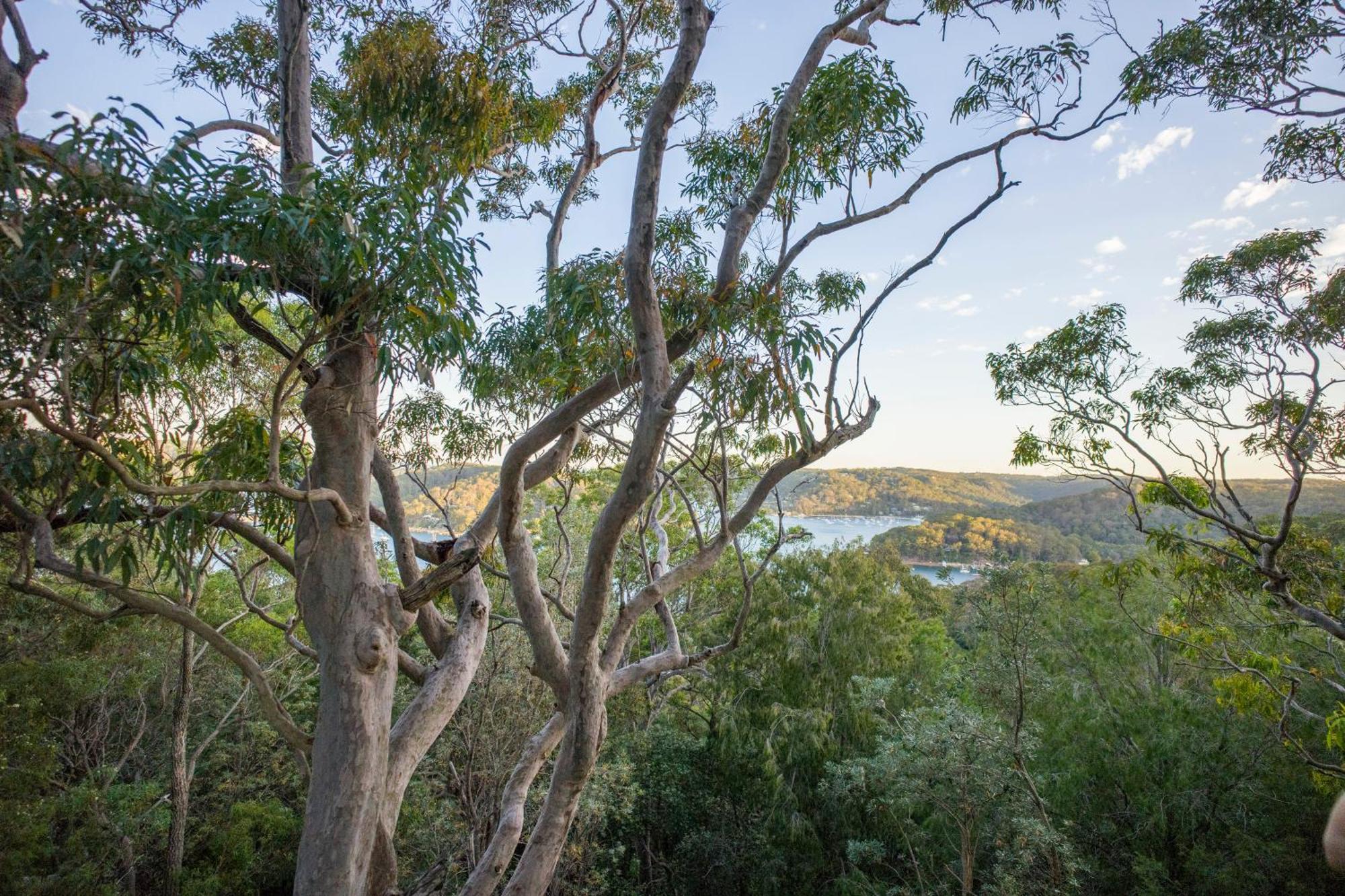 הוסטל Church Point Yha Pittwater Eco, Sydney מראה חיצוני תמונה